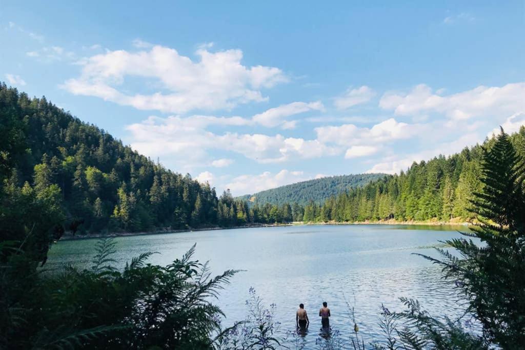 Lullaby House - Large, Full Comfort 5 Star Chalet House In The Vosges Ramonchamp Extérieur photo